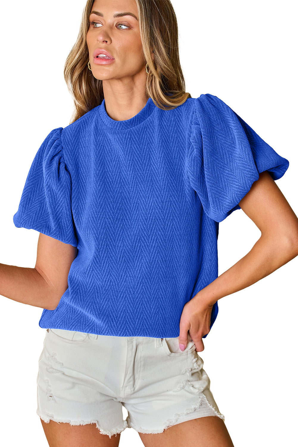 Sky Blue Solid Textured Puff Sleeve Mock Neck Blouse